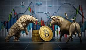 Bull Markets Vs Bear Markets in Crypto